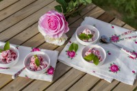 /album/fotogaleria-fotogaleria/a410306-jpg/